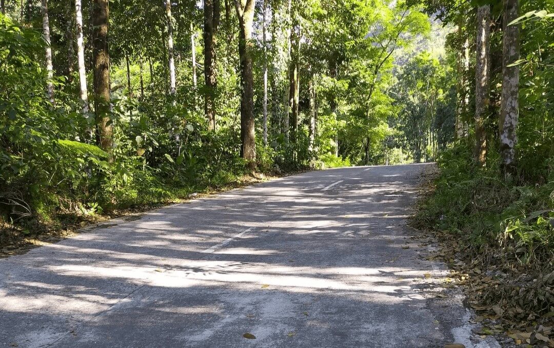 Car rental in the Philippines